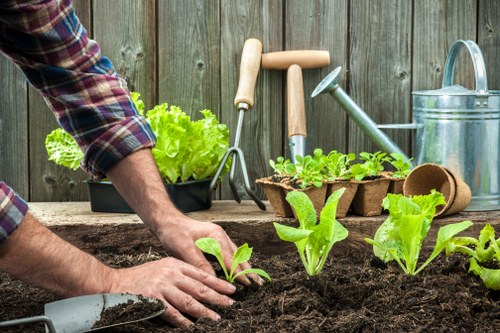 Staff member inspecting a garden in Holborn for compliance