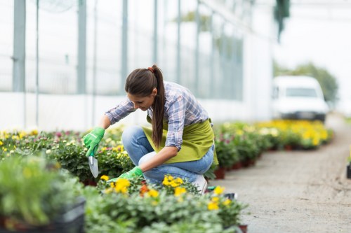 Gardening team discussing a work plan on-site in an urban garden