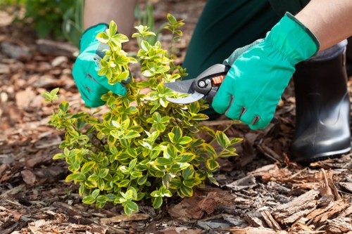 Team sorting green waste on a Holborn garden clearance