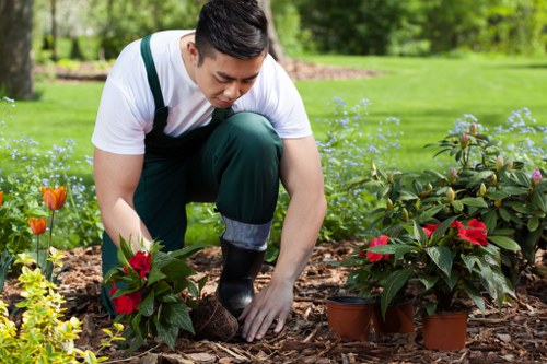 Worker wearing PPE operating garden machinery safely