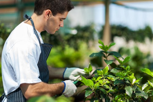 Close-up of pruning shears and foliage during maintenance visit