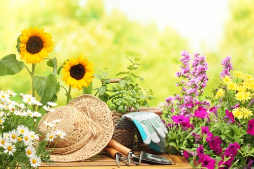 A vibrant garden scene featuring a wooden table decorated with a straw sun hat, garden gloves, and gardening tools placed on its surface. Surrounding the table, there are blooming flowers including yellow sunflowers with dark centers, white daisies with yellow centers, and clusters of pink and purple flowers. The background displays a lush, green, out-of-focus hedge or shrubbery, indicating a well-maintained outdoor garden area typical of an urban or suburban garden in Holborn. The scene is bathed in soft natural daylight, suggesting a bright, sunny day suitable for gardening activities. The variety of plants and garden accessories reflects a well-tended space that could benefit from professional gardening services to maintain its vibrant appearance and healthy growth, fitting for a garden in London.