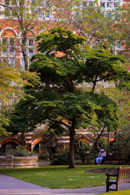 A landscaped urban park features a large, mature deciduous tree with a broad, rounded canopy of green leaves, situated on a well-maintained grassy lawn with evenly trimmed edges. The background displa