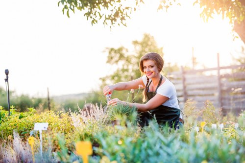 A woman with dark hair tied back, dressed in a light blue top and dark apron, is tending to a well-maintained garden that features a variety of flowering plants, shrubs, and small trees in an outdoor space likely within a residential area in Holborn. She is kneeling on the ground and carefully pruning or planting among lush, colorful blooms, with some plants marked by small labels. The garden layout includes a neatly edged flower bed in the foreground, filled with greenery and vibrant blossoms in shades of purple, yellow, and green. Behind her, there is a paved pathway and a wooden fence, suggesting the garden is part of a private back yard. Tall trees and additional garden plants are visible in the background, with gentle sunlight filtering through the leaves, indicating a warm, sunny day. The overall scene emphasizes outdoor maintenance and gardening work, aligned with professional gardening services in the Holborn area, highlighting a carefully cultivated and inviting outdoor environment.
