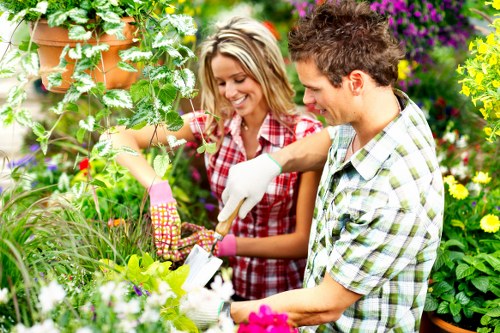 A gardener and a woman are working together in a lush, vibrant garden with various plants, including green leafy shrubs, flowering plants with pink and purple blossoms, and climbing vines supported by terracotta containers. The garden features a well-maintained lawn area in the foreground, bordered by flower beds and paved pathways, with a background of colorful flowering bushes and a wooden trellis. The individuals are wearing gardening gloves and casual clothing, actively engaged in planting or tending to the garden plants. The scene is set outdoors in natural daylight, suggesting a mild, sunny day suitable for gardening activities, reflecting professional outdoor maintenance and garden care typical of a well-kept outdoor space in Holborn or nearby areas. The environment is rich with natural tones of green, various floral colors, and earthy textures, highlighting the features typical of residential or community gardens in London or the surrounding boroughs, as addressed by Gardening Services Holborn.